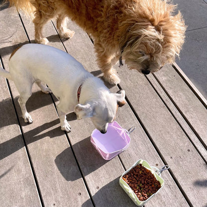 Tilley + Me Compact Foldable Pet Food & Water Bowl – Ideal for Travel